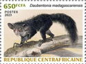Aye-aye (Daubentonia madagascariensis)