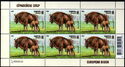 European Bison (Bison bonasus)