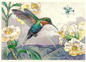 Hummingbird