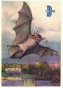 Microbat