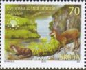 Zaovine Landscape, Eurasian Otter (Lutra lutra), Chamois (Ru