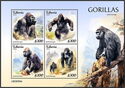 Gorillas