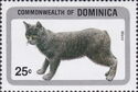 Manx (Felis silvestris catus)