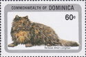 Tortoiseshell Longhair (Felis silvestris catus)