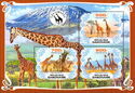 Giraffes