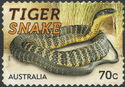Tiger Snake (Notechis scutatum)