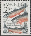 Arctic Char (Salvelinus salvelinus)
