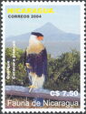 Crested Caracara (Caracara plancus)