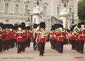 Guards At Buckingham Palace - London