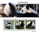 Giant Panda