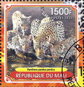 Les Leopards