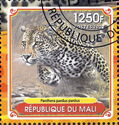Les Leopards