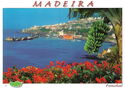 View On Funchal