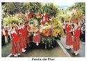 Funchal. Flower Festival Of Madeira