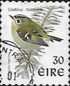 Goldcrest (Regulus regulus)