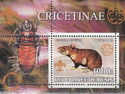 Cricetinae Hamsters Rats
