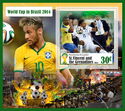 Sport FIFA World Cup 2014 in Brazil