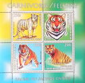 Fauna from Around the World Carnivora / Felidae