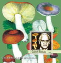 Alexander Fleming - Mushrooms