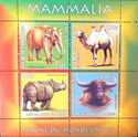 Fauna from Around the World Mammalia