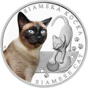 1 Dollar (Cat Breeds - Siamese cat)
