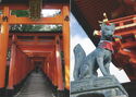 Kyoto. Fushimi Inari Shrine