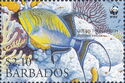Queen Triggerfish (Balistes vetula)