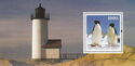 Penguins and lighthouses