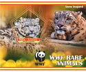 Fauna WWF Snow Leopard