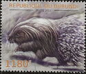 Cape Porcupine (Hystrix africaeaustralia)
