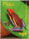 Manu Poison Frog (Epipedobates macero)