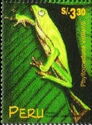 White-lined Leaf Frog (Phyllomedusa vaillantii)