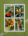 Parrots