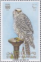 Gyrfalcon (Falco rusticolus)