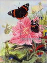 Animals and Insects Paintings Butterflies