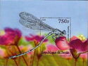 Animals and Insects Paintings Dragonfly