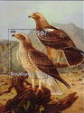 Animals and Insects Paintings Imperial Eagles