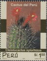 Cleistocactus xylorhizus