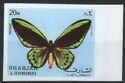 Common Green Birdwing (Ornithoptera priamus)