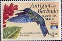 Blue-headed Hummingbird and Red Ginger - Overprinted