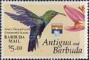 Green-throated Carib and Ornamental Banana - Overprinted
