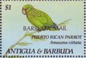 Puerto Rican Parrot (Amazona vittata) - Overprinted