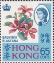 Bauhinia blakeana