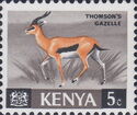 Thomson’s Gazelle (Eudorcas thomsonii)