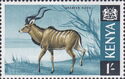 Greater Kudu (Tragelaphus strepsiceros)