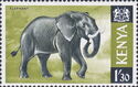 African Elephant (Loxodonta africana)