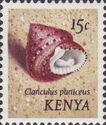 Strawberry Top Shell (Clanculus puniceus)
