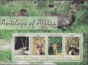 Antelope of Africa