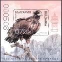 Black Vulture (Aegypius monachus)