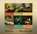 Insects of the Caribbean